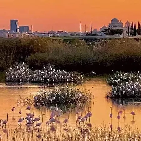 Stefaris 'sioukris Court' * Lárnaka